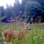 A 5 Minutes De Gerardmer Avec Etang Apartment Sapois (Vosges)