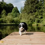 Apartment A 5 Minutes De Gerardmer Avec Etang *