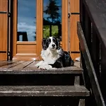 A 5 Minutes De Gerardmer Avec Etang