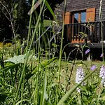 A 5 Minutes De Gerardmer Avec Etang Apartment