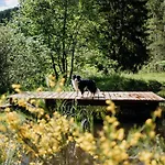 A 5 Minutes De Gerardmer Avec Etang Apartment Sapois (Vosges)