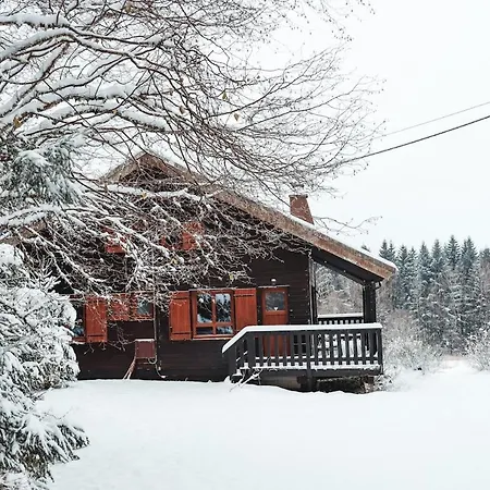 A 5 Minutes De Gerardmer Avec Etang *
