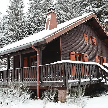 A 5 Minutes De Gerardmer Avec Etang *