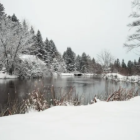 A 5 Minutes De Gerardmer Avec Etang 公寓 *