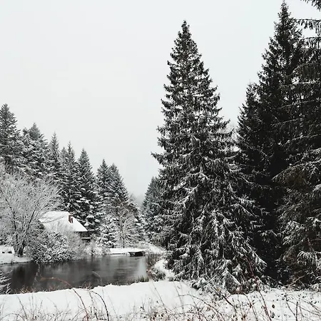 公寓 A 5 Minutes De Gerardmer Avec Etang Sapois (Vosges)