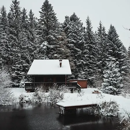 A 5 Minutes De Gerardmer Avec Etang