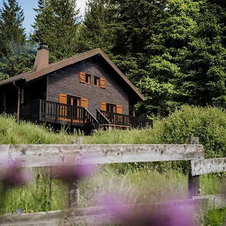 Apartamento à 5 Minutes De Gérardmer Avec étang *