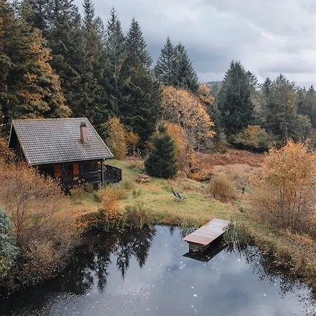 Apartamento à 5 Minutes De Gérardmer Avec étang Sapois (Vosges)