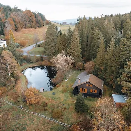 Apartamento à 5 Minutes De Gérardmer Avec étang