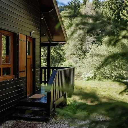 Apartamento à 5 Minutes De Gérardmer Avec étang *