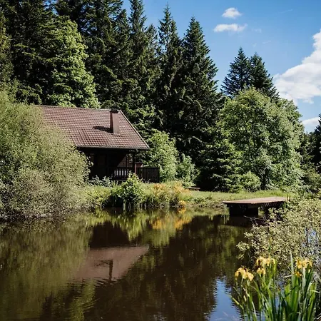 Apartamento à 5 Minutes De Gérardmer Avec étang Sapois (Vosges)
