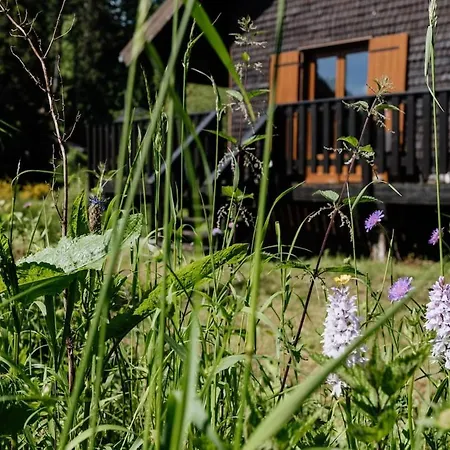 à 5 Minutes De Gérardmer Avec étang Apartamento