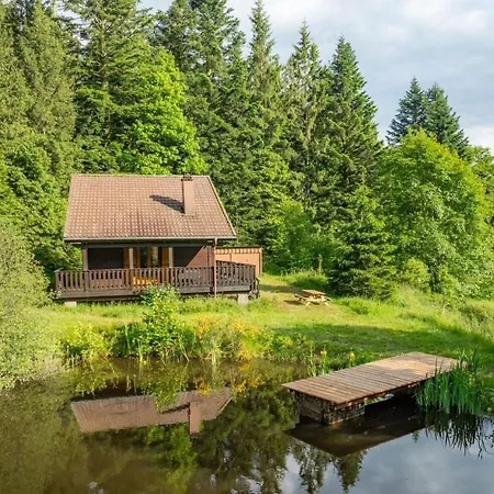 Apartamento à 5 Minutes De Gérardmer Avec étang *