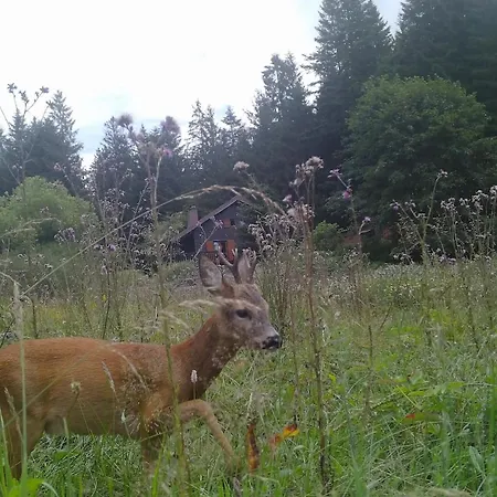 A 5 Minutes De Gerardmer Avec Etang Sapois (Vosges)