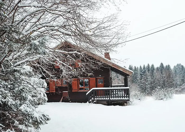 A 5 Minutes De Gerardmer Avec Etang *