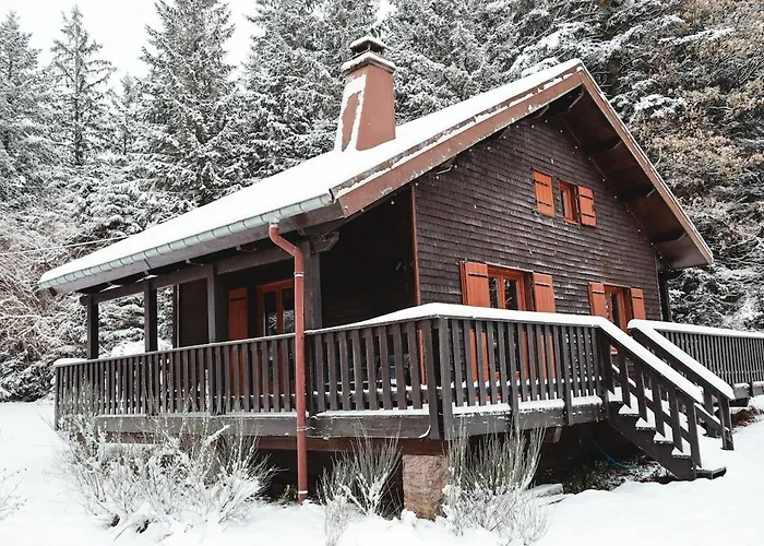 A 5 Minutes De Gerardmer Avec Etang *