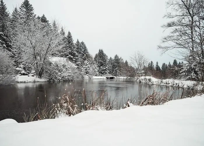 A 5 Minutes De Gerardmer Avec Etang 公寓 *