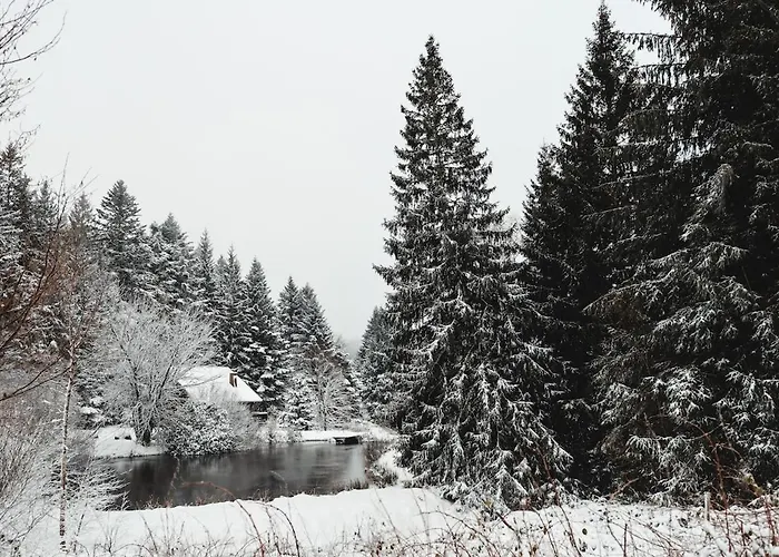 公寓 A 5 Minutes De Gerardmer Avec Etang Sapois (Vosges)