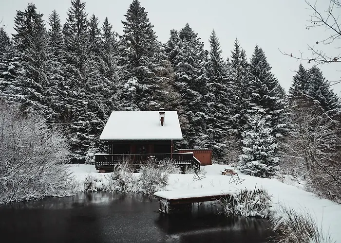 A 5 Minutes De Gerardmer Avec Etang