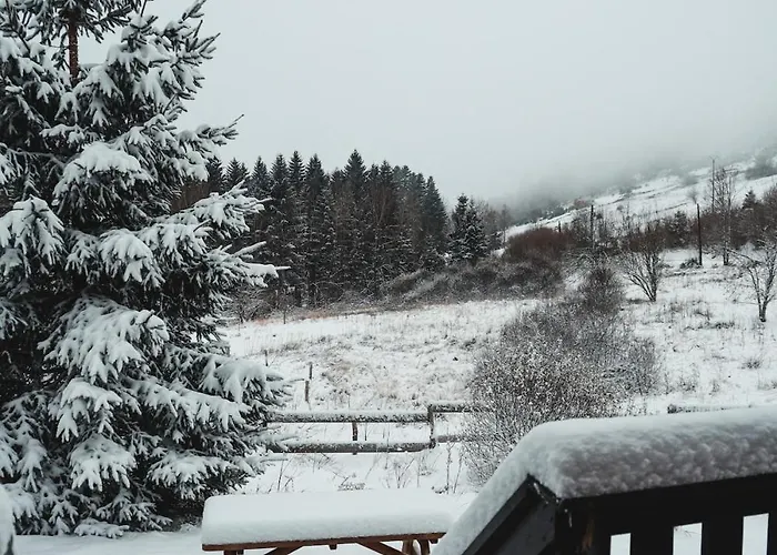 A 5 Minutes De Gerardmer Avec Etang 公寓 *