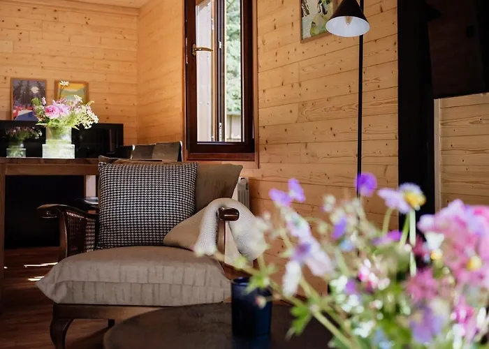 A 5 Minutes De Gerardmer Avec Etang