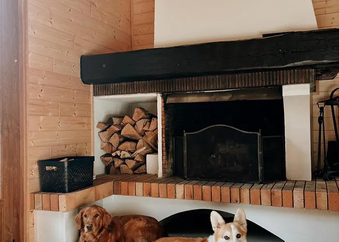 公寓 A 5 Minutes De Gerardmer Avec Etang