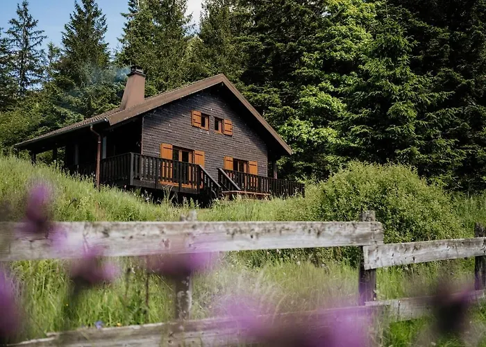 公寓 A 5 Minutes De Gerardmer Avec Etang *