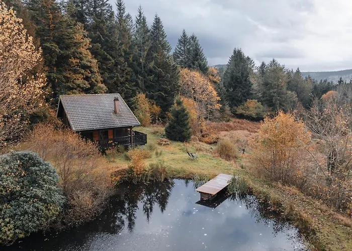 公寓 A 5 Minutes De Gerardmer Avec Etang Sapois (Vosges)