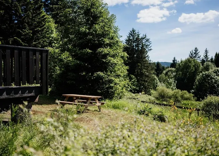 A 5 Minutes De Gerardmer Avec Etang *