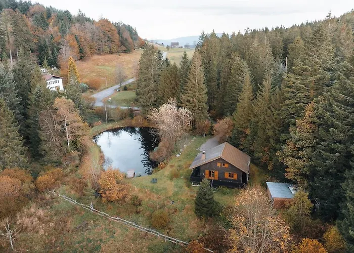 公寓 A 5 Minutes De Gerardmer Avec Etang