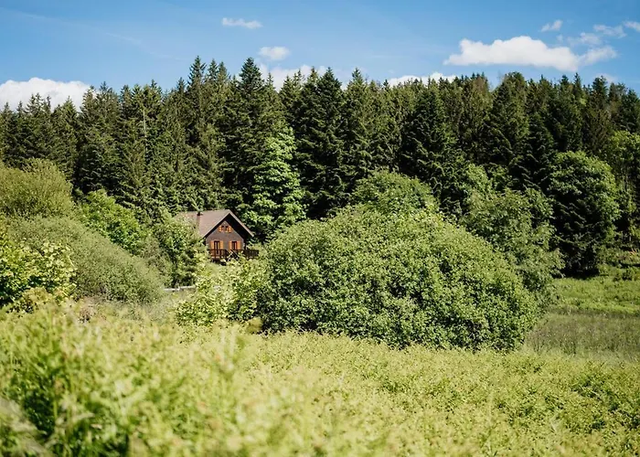 A 5 Minutes De Gerardmer Avec Etang