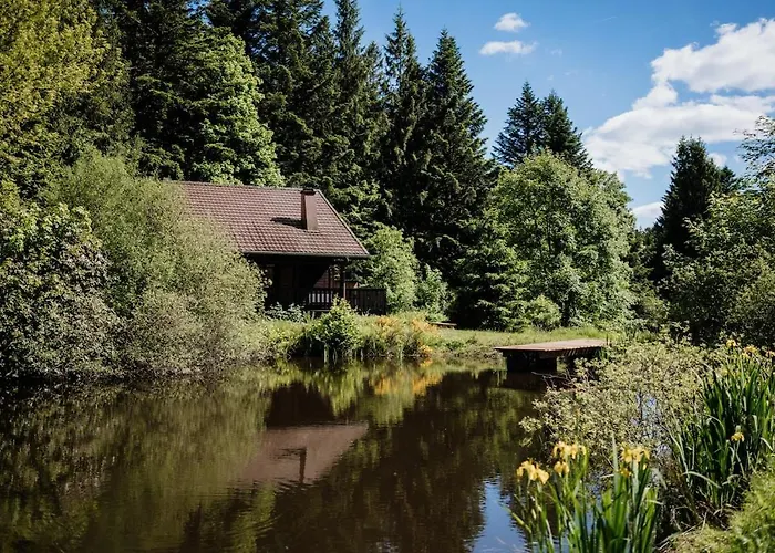 公寓 A 5 Minutes De Gerardmer Avec Etang Sapois (Vosges)