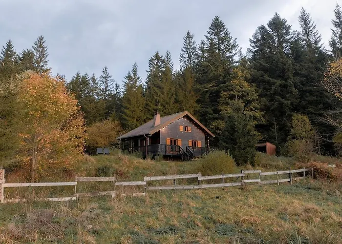 A 5 Minutes De Gerardmer Avec Etang 公寓 *