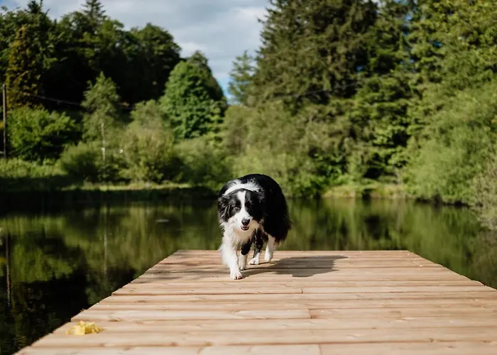 公寓 A 5 Minutes De Gerardmer Avec Etang *