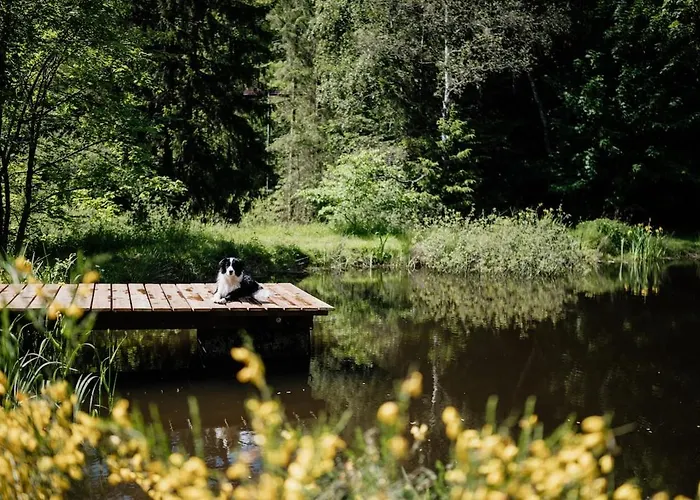 A 5 Minutes De Gerardmer Avec Etang 公寓 *