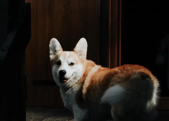 A 5 Minutes De Gerardmer Avec Etang * Sapois (Vosges)