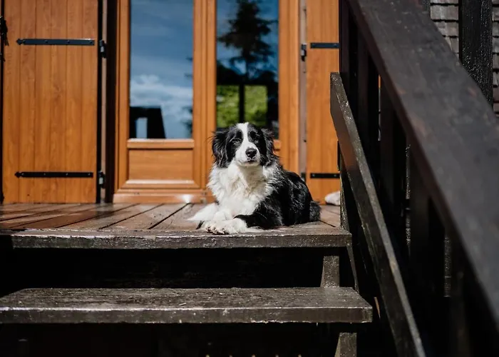 A 5 Minutes De Gerardmer Avec Etang