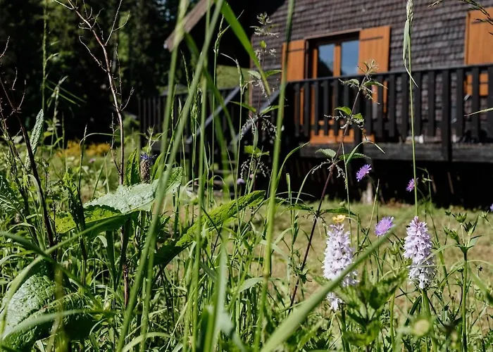 A 5 Minutes De Gerardmer Avec Etang 公寓