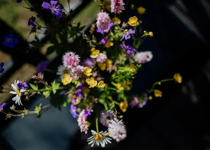 A 5 Minutes De Gerardmer Avec Etang