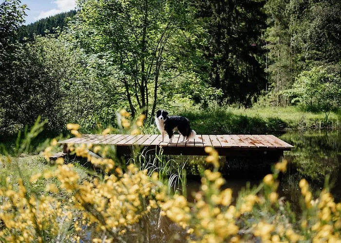 A 5 Minutes De Gerardmer Avec Etang 公寓 Sapois (Vosges)