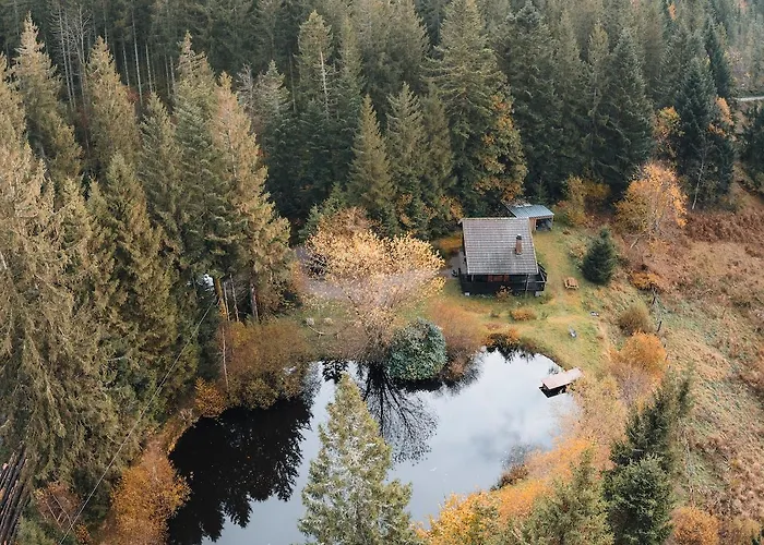 A 5 Minutes De Gerardmer Avec Etang 公寓 Sapois (Vosges)