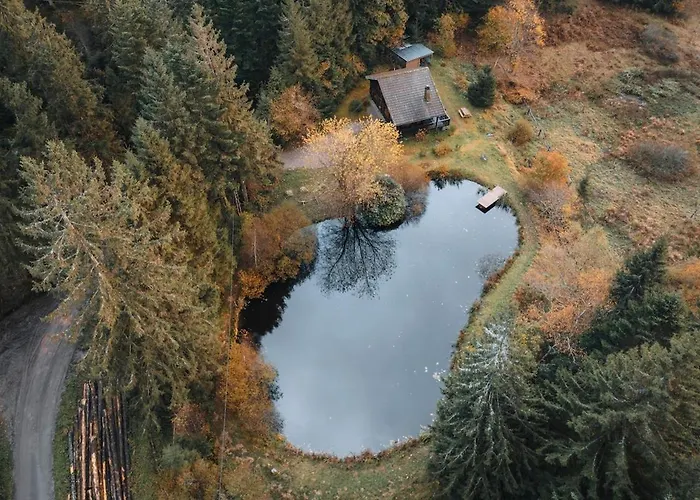 A 5 Minutes De Gerardmer Avec Etang