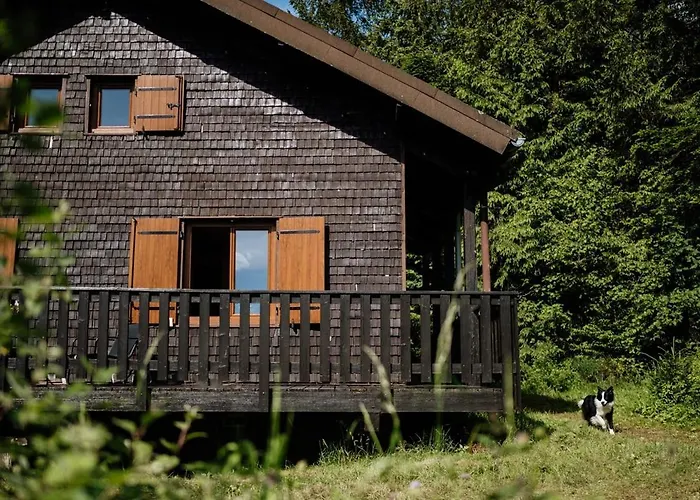 公寓 A 5 Minutes De Gerardmer Avec Etang