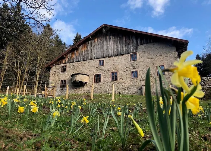 A 5 Minutes De Gerardmer Avec Etang 公寓 *